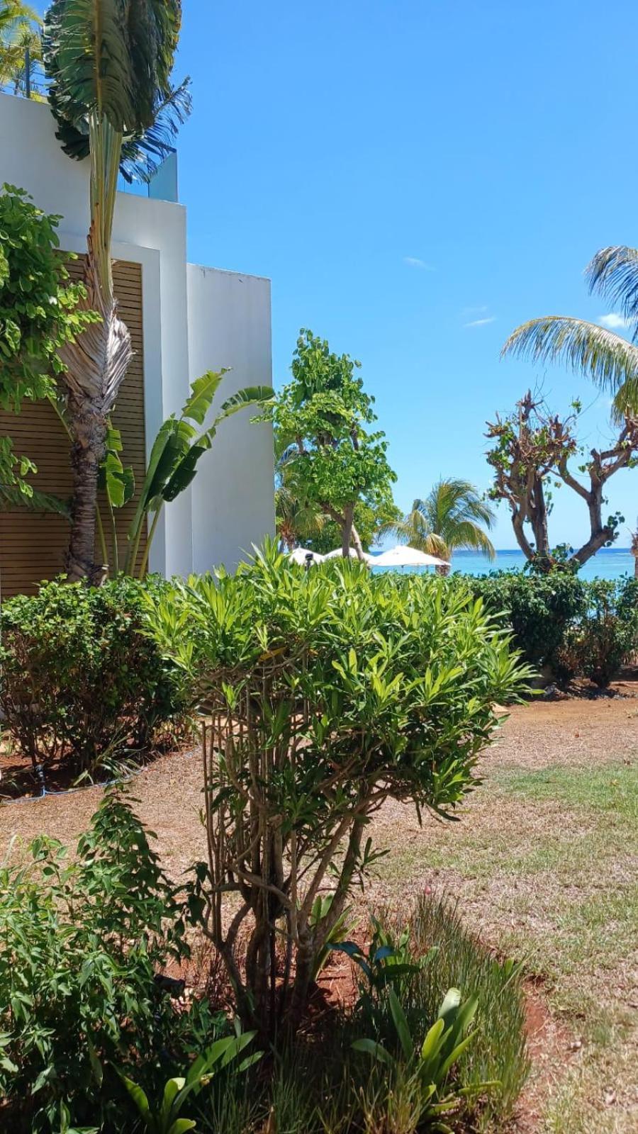 Cap Ouest Luxury Beachfront Flic-en-Flacq Exteriér fotografie
